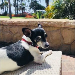 Meet your Posher, Julia